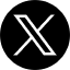 x-icon